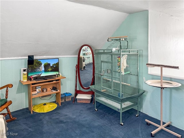 miscellaneous room featuring carpet flooring and vaulted ceiling