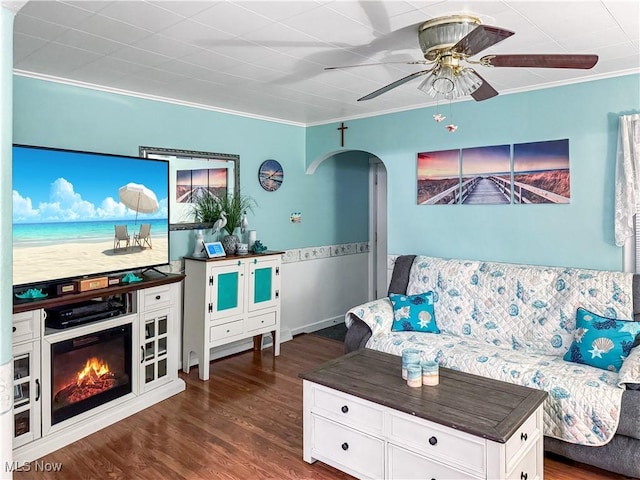 living room with crown molding, ceiling fan, and dark hardwood / wood-style flooring