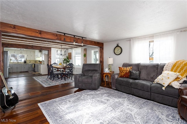 living room with sink, dark wood-type flooring, and a healthy amount of sunlight