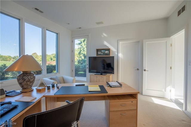 office space with light carpet