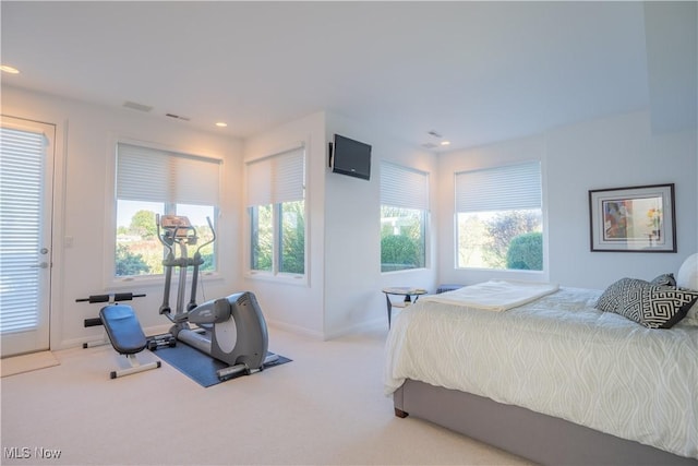 bedroom with light carpet