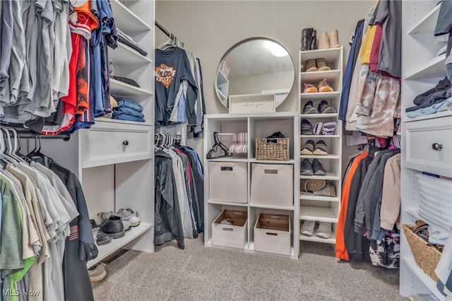 walk in closet featuring light colored carpet