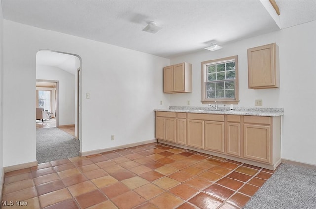 kitchen with light brown cabinetry, sink, plenty of natural light, and light carpet