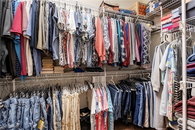 spacious closet with carpet