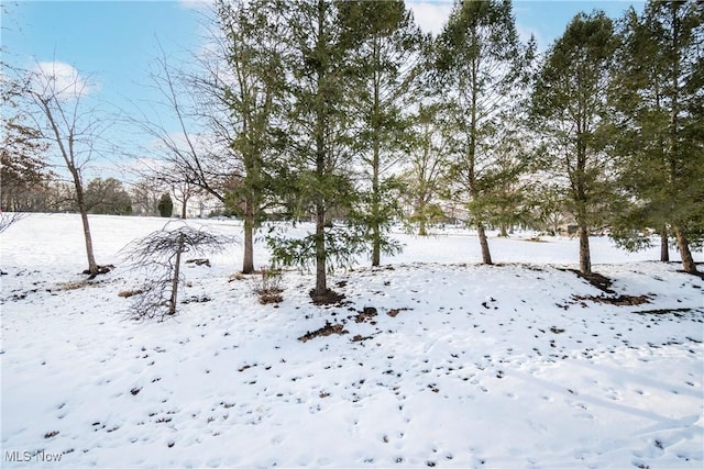 view of yard layered in snow