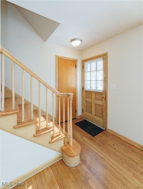 foyer entrance featuring wood-type flooring