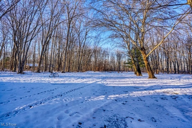 view of yard layered in snow