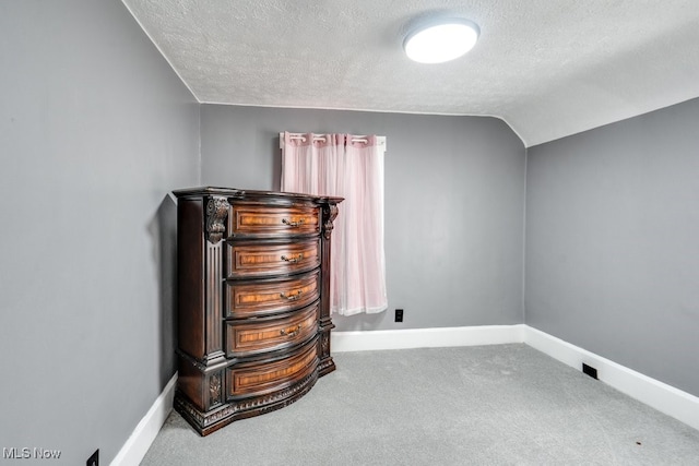 additional living space featuring vaulted ceiling, carpet flooring, and a textured ceiling