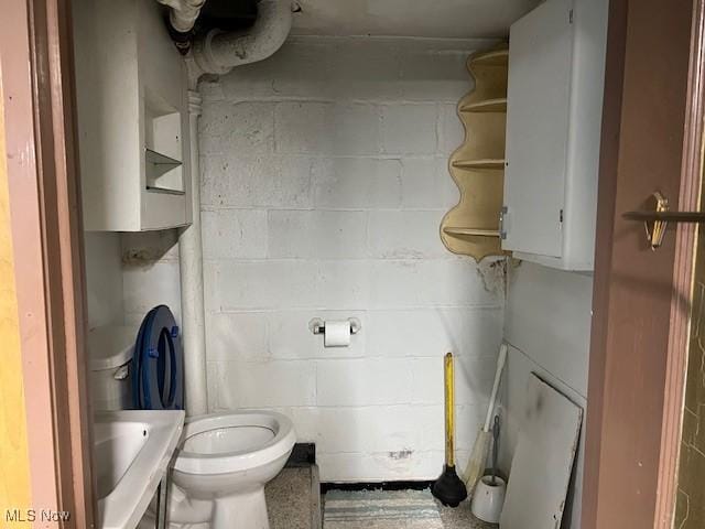 bathroom with sink and toilet