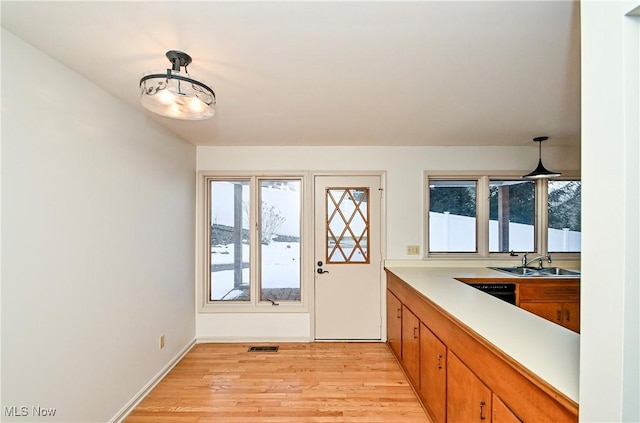 kitchen featuring dishwasher, sink, hanging light fixtures, and light hardwood / wood-style flooring