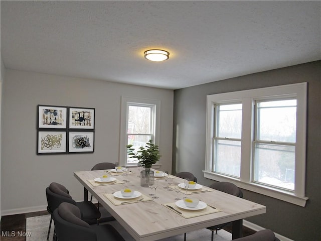 dining area with plenty of natural light