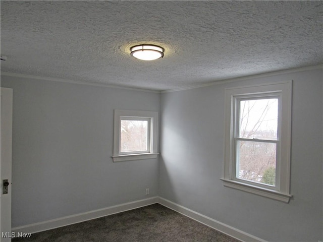 carpeted spare room featuring ornamental molding and a textured ceiling