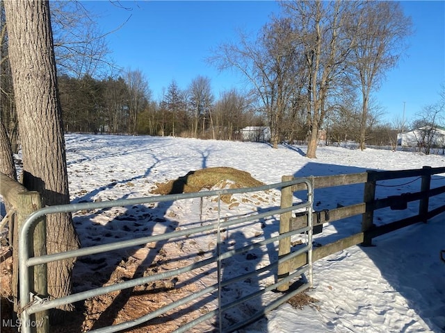 view of snowy yard