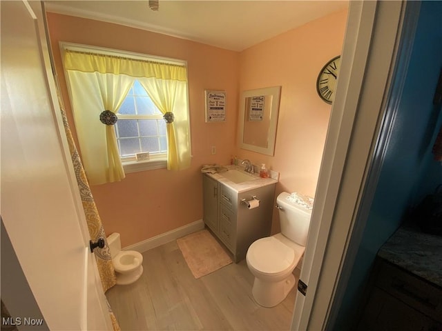 bathroom with wood-type flooring, vanity, and toilet