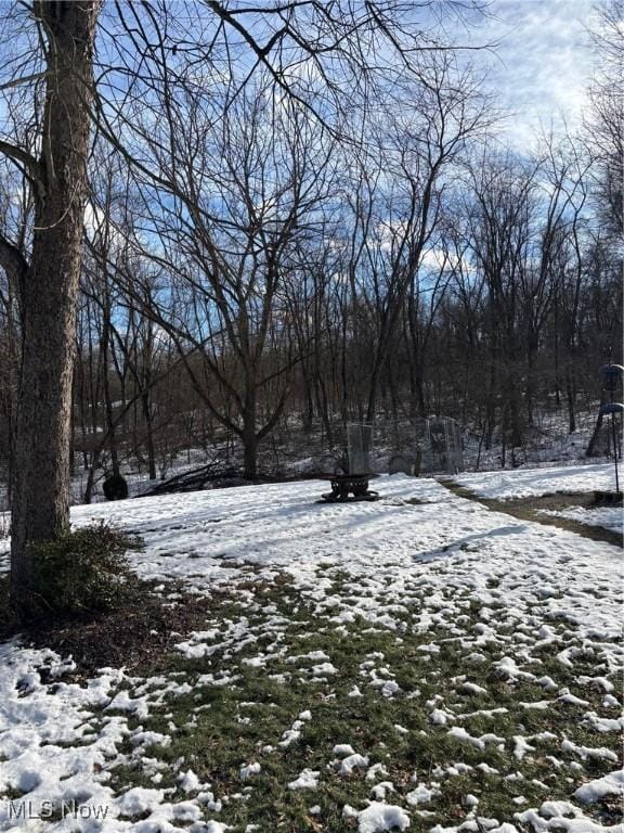 view of yard covered in snow