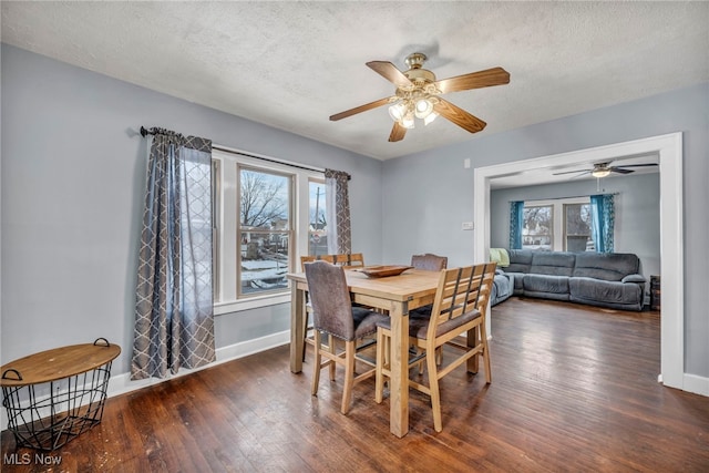 dining room with dark wood-type flooring, a textured ceiling, and a wealth of natural light