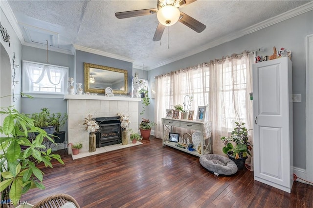 living room with crown molding, a healthy amount of sunlight, and a textured ceiling