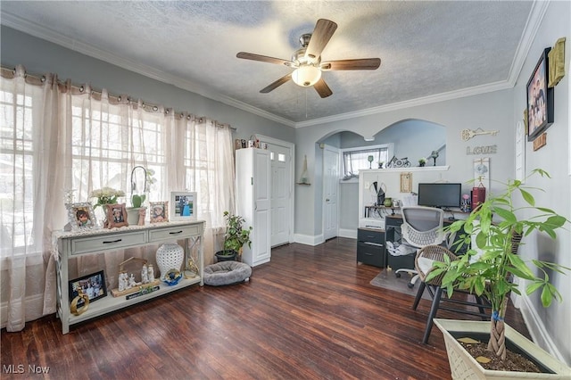 home office with dark hardwood / wood-style flooring, plenty of natural light, and a textured ceiling