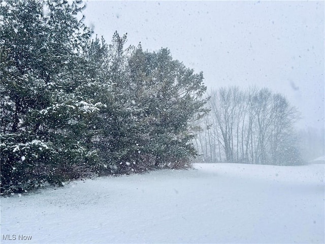 view of yard layered in snow