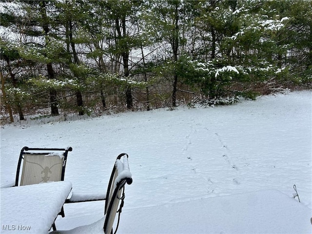 view of snowy yard