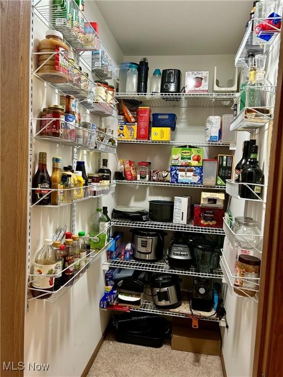 view of pantry