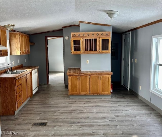 kitchen with sink, vaulted ceiling, ornamental molding, plenty of natural light, and dishwasher