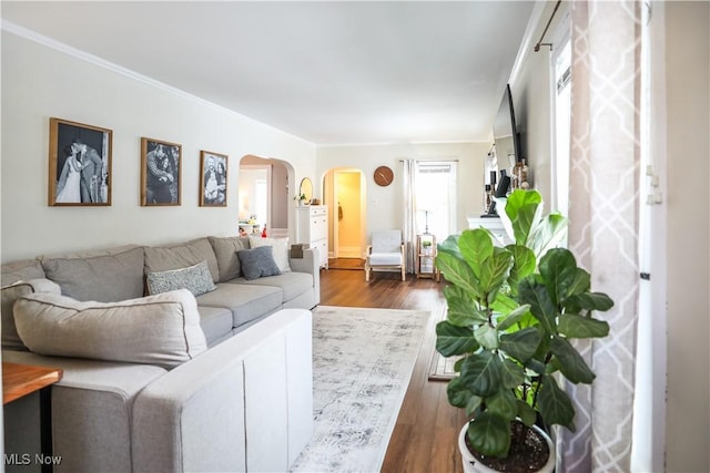 living room featuring dark hardwood / wood-style floors and a wealth of natural light