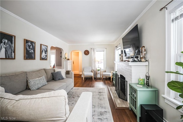 living room featuring dark hardwood / wood-style floors, ornamental molding, and a fireplace