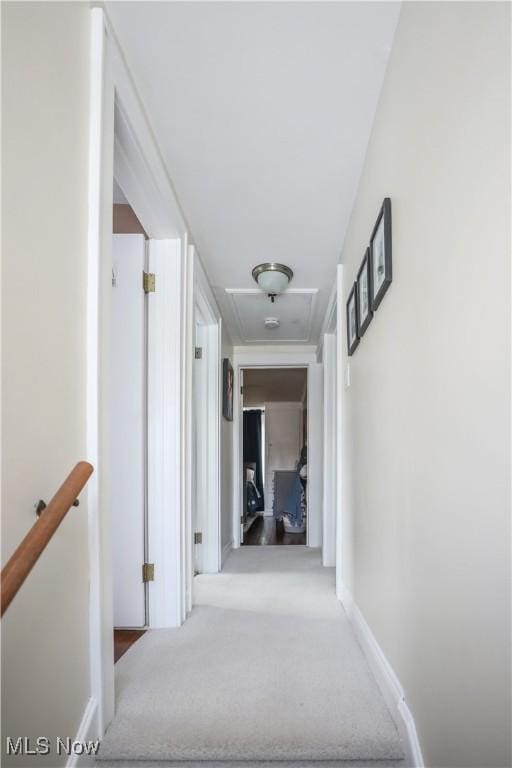 hallway featuring carpet