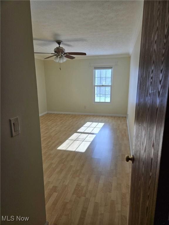 unfurnished room with crown molding, light hardwood / wood-style flooring, and ceiling fan