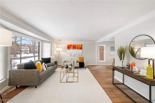 living room featuring crown molding and hardwood / wood-style floors