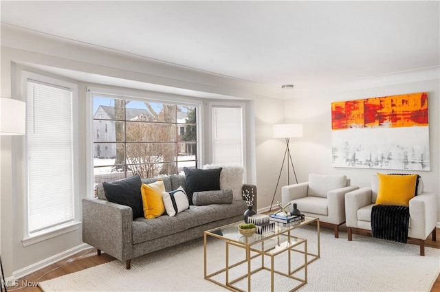 living room with wood-type flooring