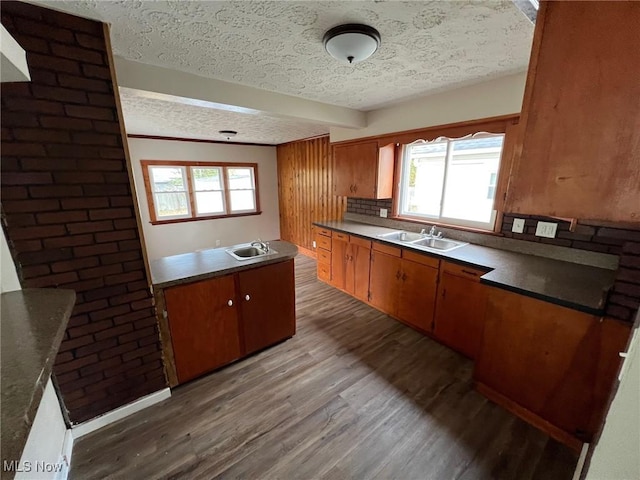 kitchen with a healthy amount of sunlight, sink, and dark hardwood / wood-style floors