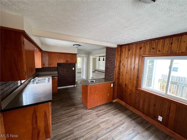 kitchen featuring hardwood / wood-style flooring, sink, a textured ceiling, and wood walls