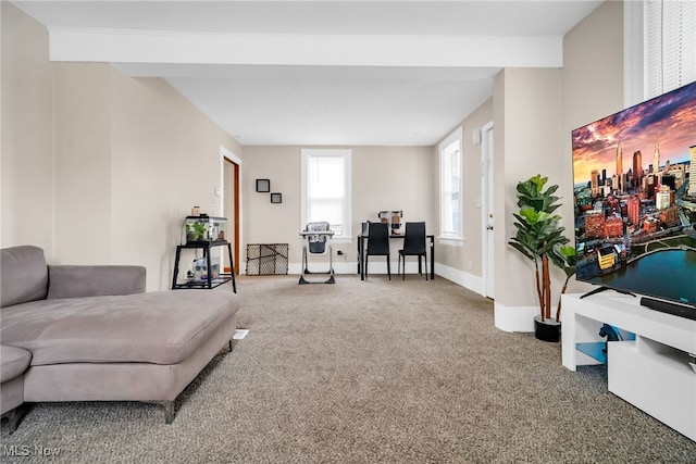 interior space with carpet and baseboards