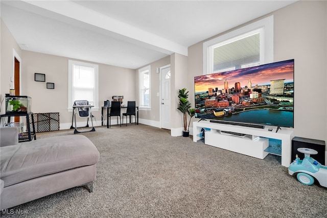 living area with carpet flooring and baseboards