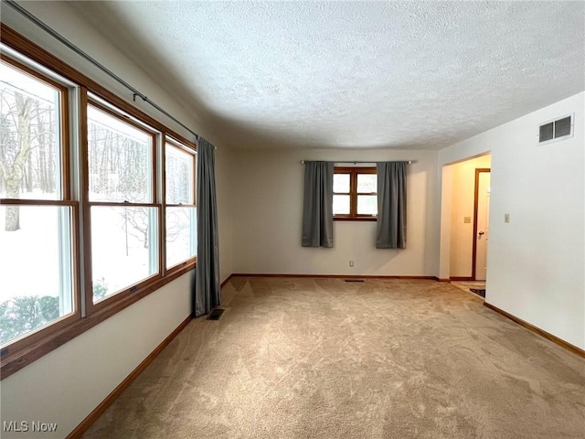 unfurnished room featuring light carpet and a textured ceiling