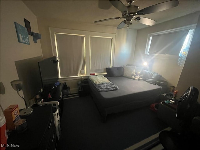 bedroom with ceiling fan