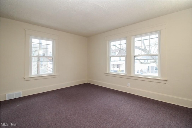 empty room featuring carpet, a healthy amount of sunlight, and a textured ceiling