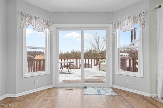 doorway featuring wood-type flooring and plenty of natural light