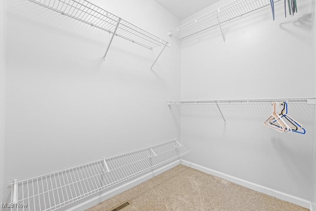 spacious closet with carpet flooring