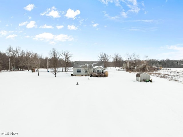 view of yard covered in snow