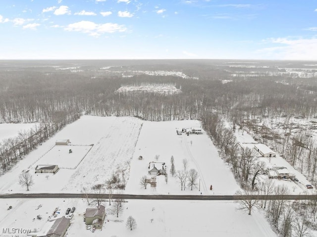 view of snowy aerial view