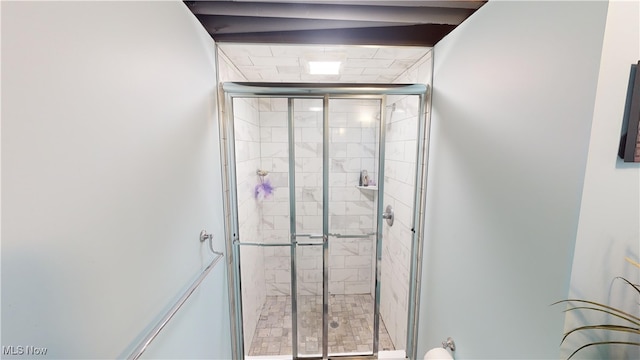 interior details featuring a shower with shower door