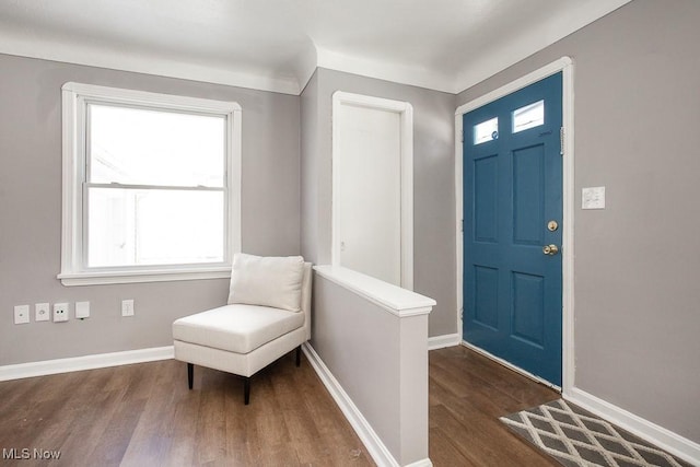 foyer featuring dark hardwood / wood-style flooring