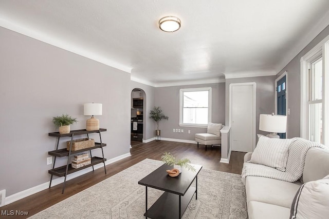 living room with dark hardwood / wood-style flooring