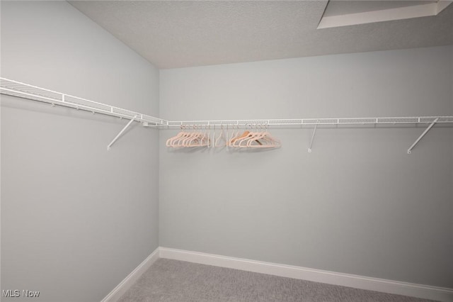 walk in closet with carpet flooring