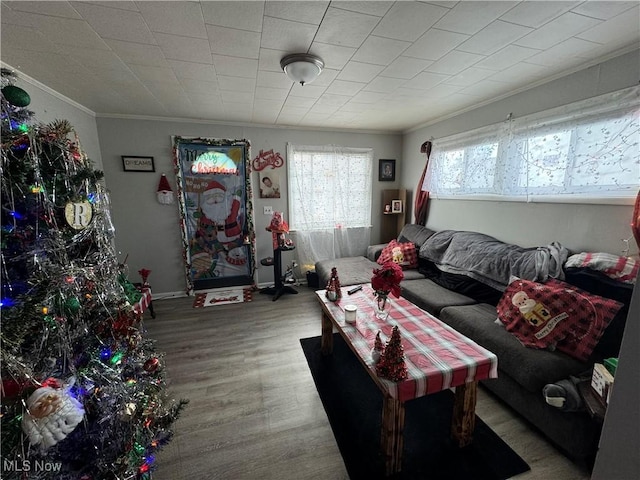 living room featuring hardwood / wood-style flooring and ornamental molding