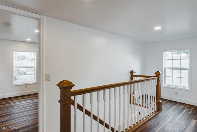 stairs featuring wood-type flooring and a healthy amount of sunlight