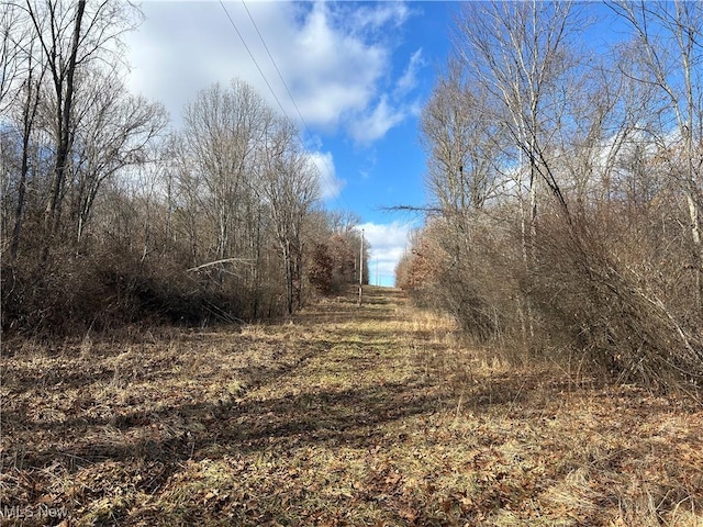 Red Ln, Cumberland OH, 43722 land for sale